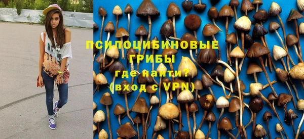 гидра Себеж