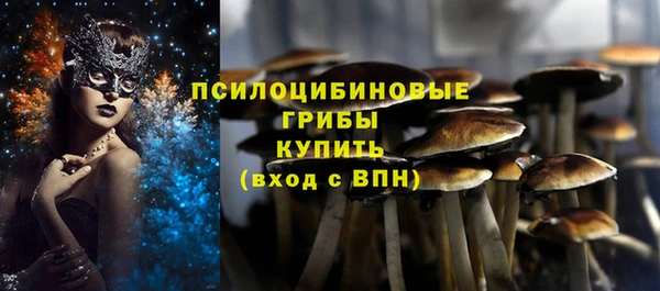 мдпв Свободный