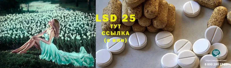 LSD-25 экстази ecstasy  Заполярный 