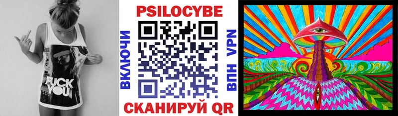 Галлюциногенные грибы Psilocybe  Заполярный 